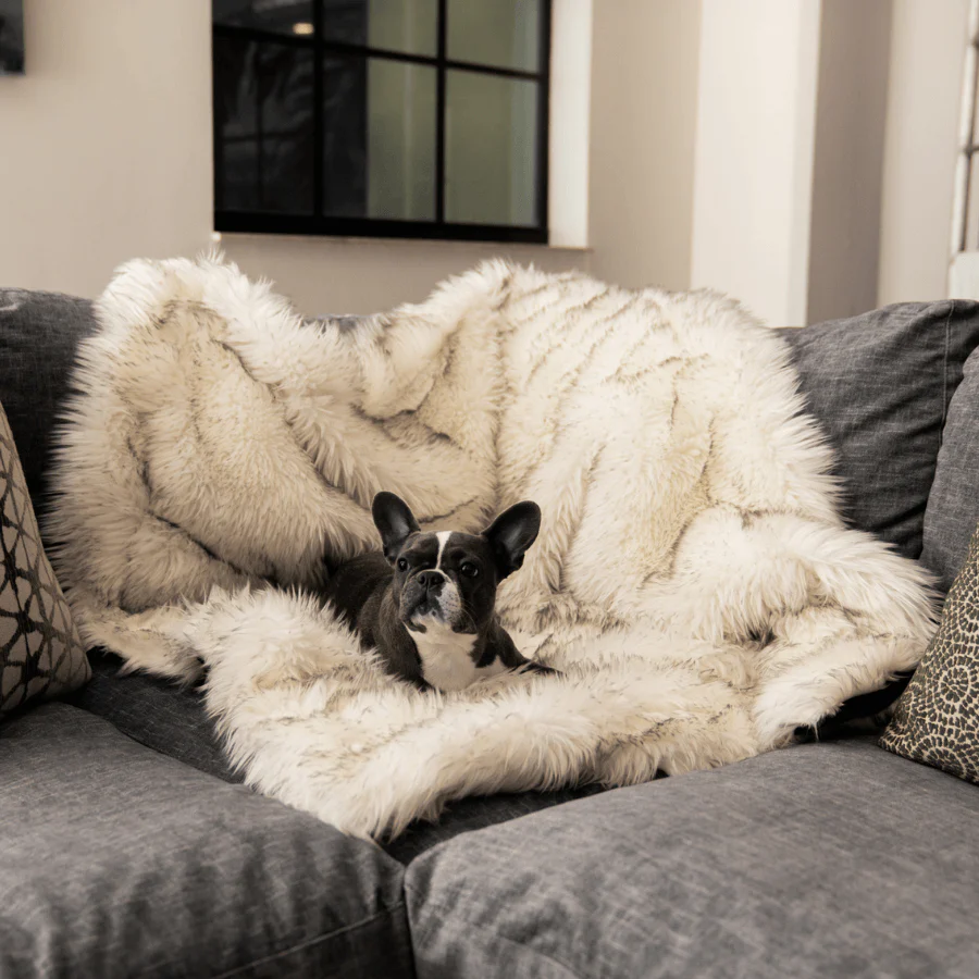 PupProtector™ Waterproof Throw Blanket - White with Brown Accents - Image 4