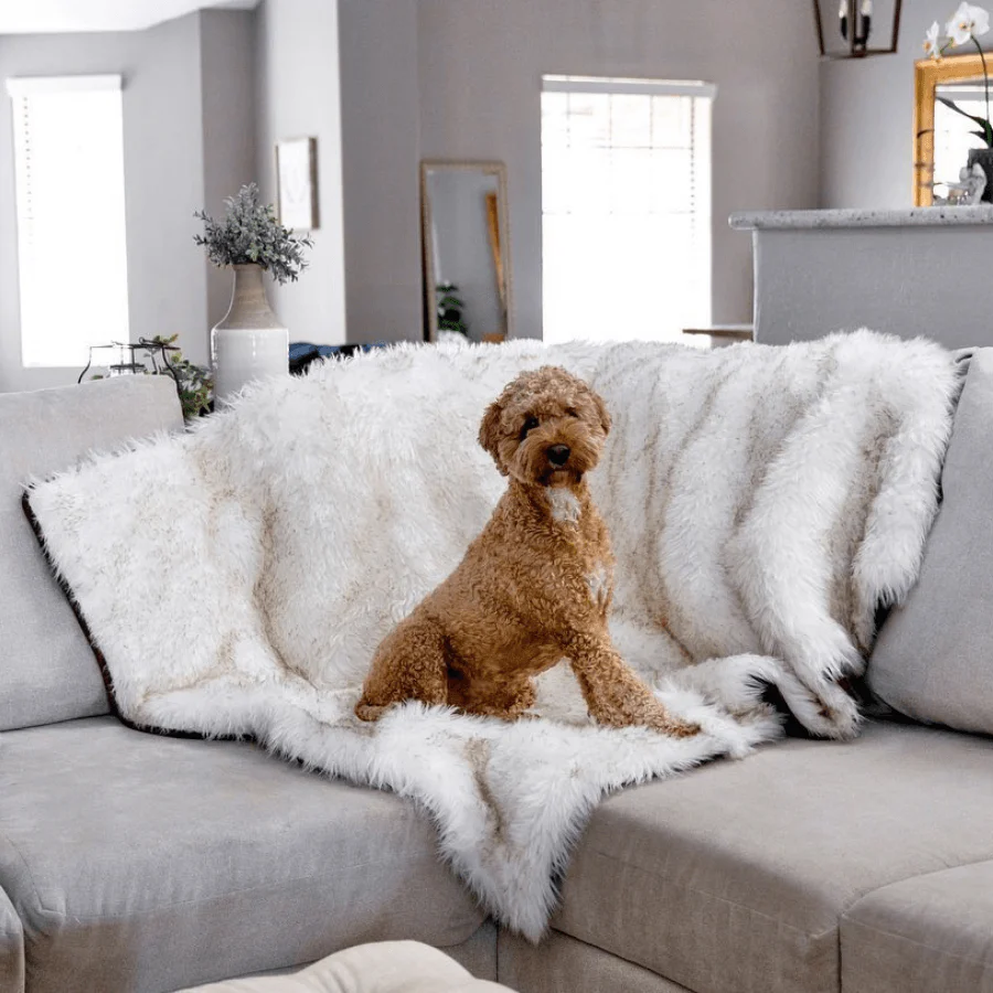 PupProtector™ Waterproof Throw Blanket - White with Brown Accents - Image 7
