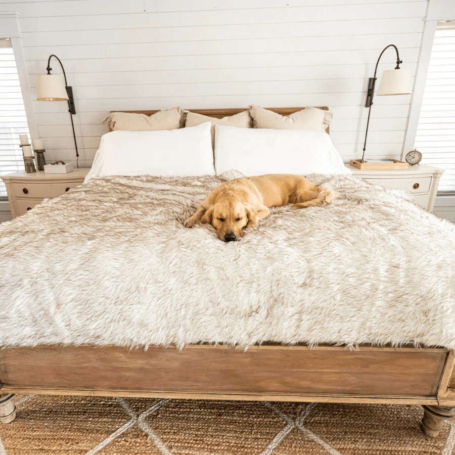 PupProtector™ Waterproof Throw Blanket - White with Brown Accents - Image 9