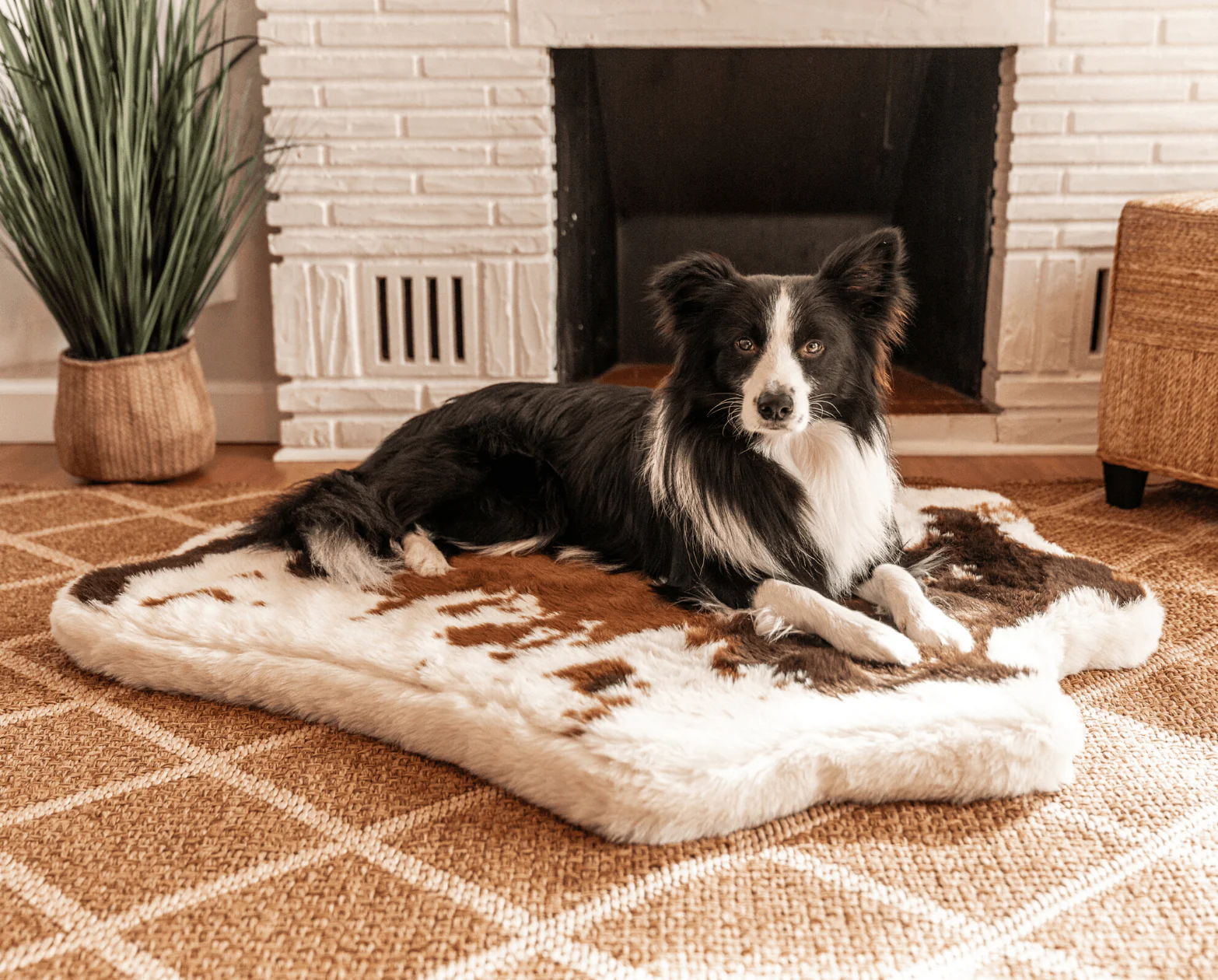 PupRug® Animal Print Memory Foam Dog Bed - Brown Faux Cowhide - Image 11