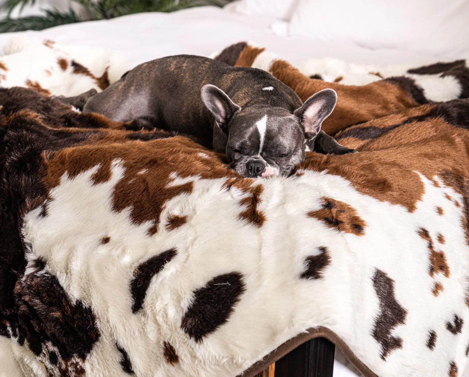 PupRug® Memory Foam Bed + Matching Waterproof Blanket Bundle - Brown Faux Cowhide - Image 5