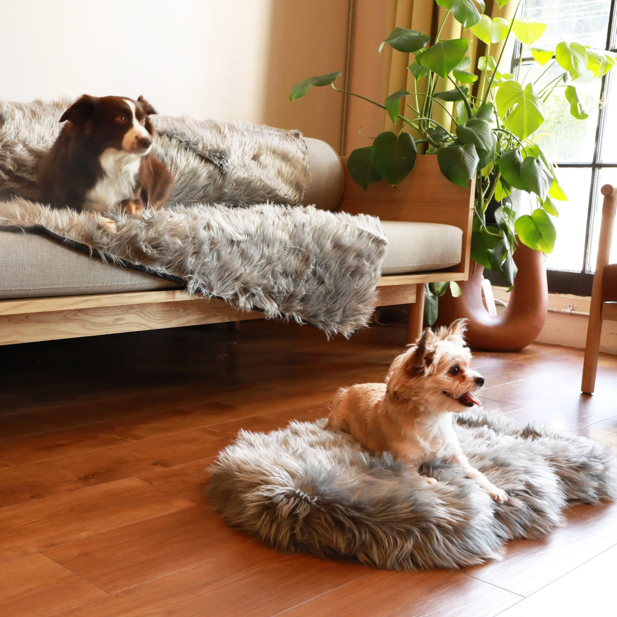 PupRug® Orthopedic Bed + Matching Waterproof Blanket Bundle - Charcoal Grey - Image 8