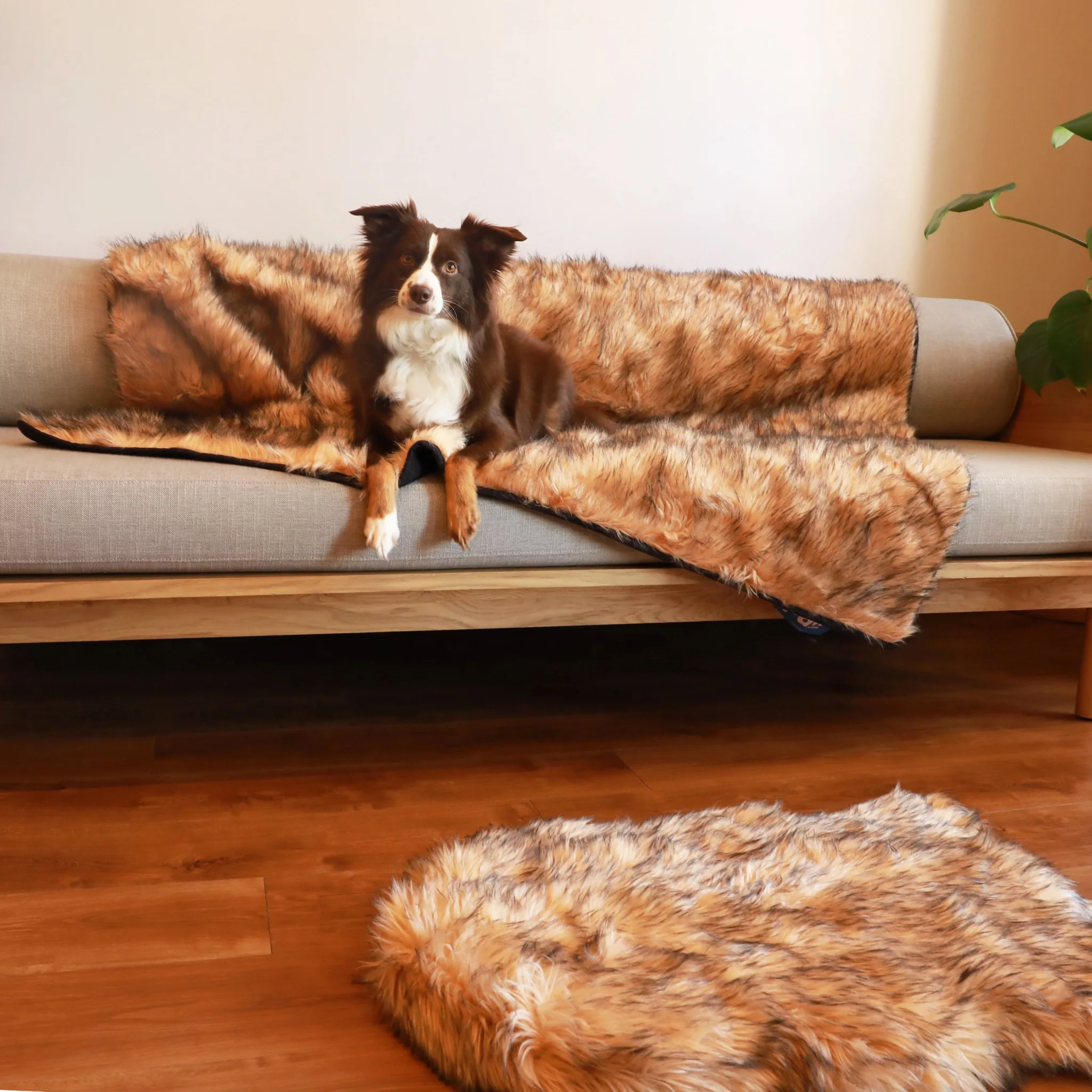 PupRug® Orthopedic Bed + Matching Waterproof Blanket Bundle- Sable Tan - Image 10