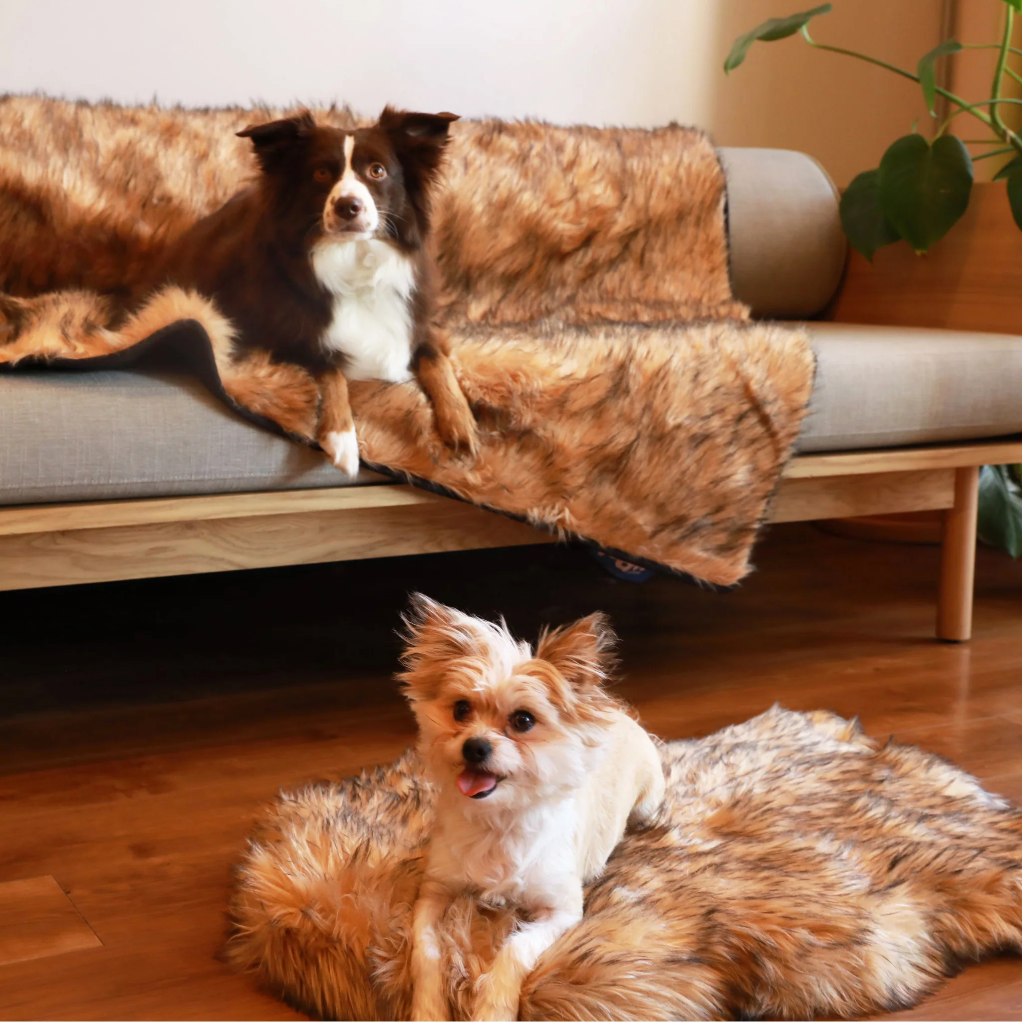 PupRug® Orthopedic Bed + Matching Waterproof Blanket Bundle- Sable Tan - Image 4