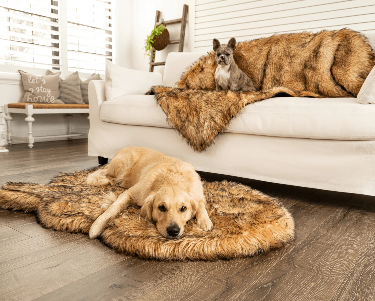 PupRug® Orthopedic Bed + Matching Waterproof Blanket Bundle- Sable Tan - Image 7