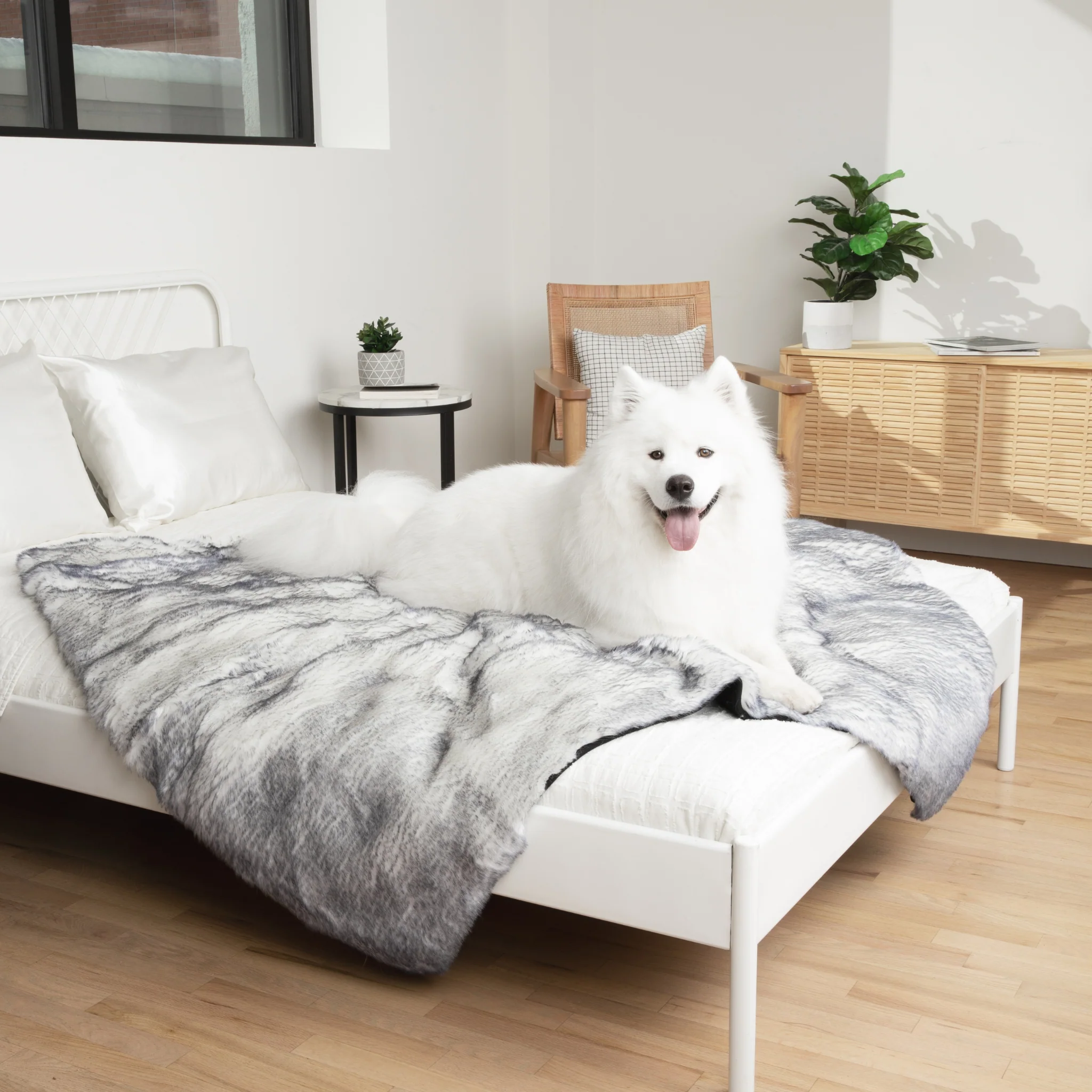 PupRug® Luxe Orthopedic Bed + Matching Waterproof Blanket  Bundle - Ultra Plush Arctic Fox - Image 6