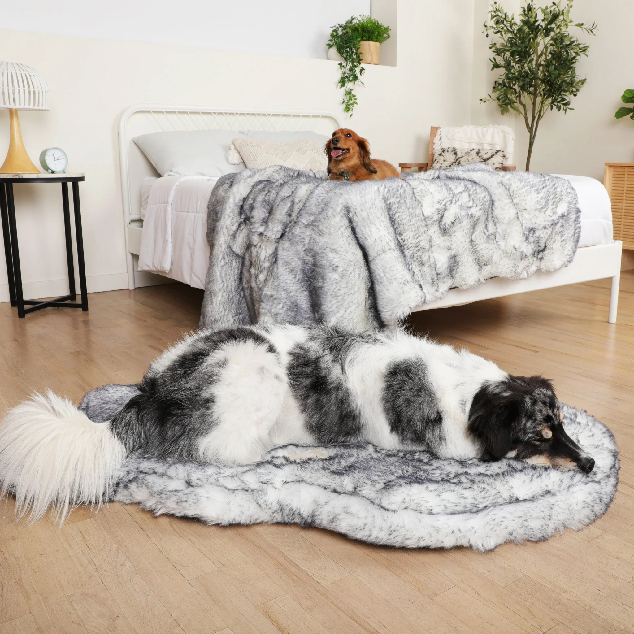PupRug® Luxe Orthopedic Bed + Matching Waterproof Blanket  Bundle - Ultra Plush Arctic Fox - Image 8