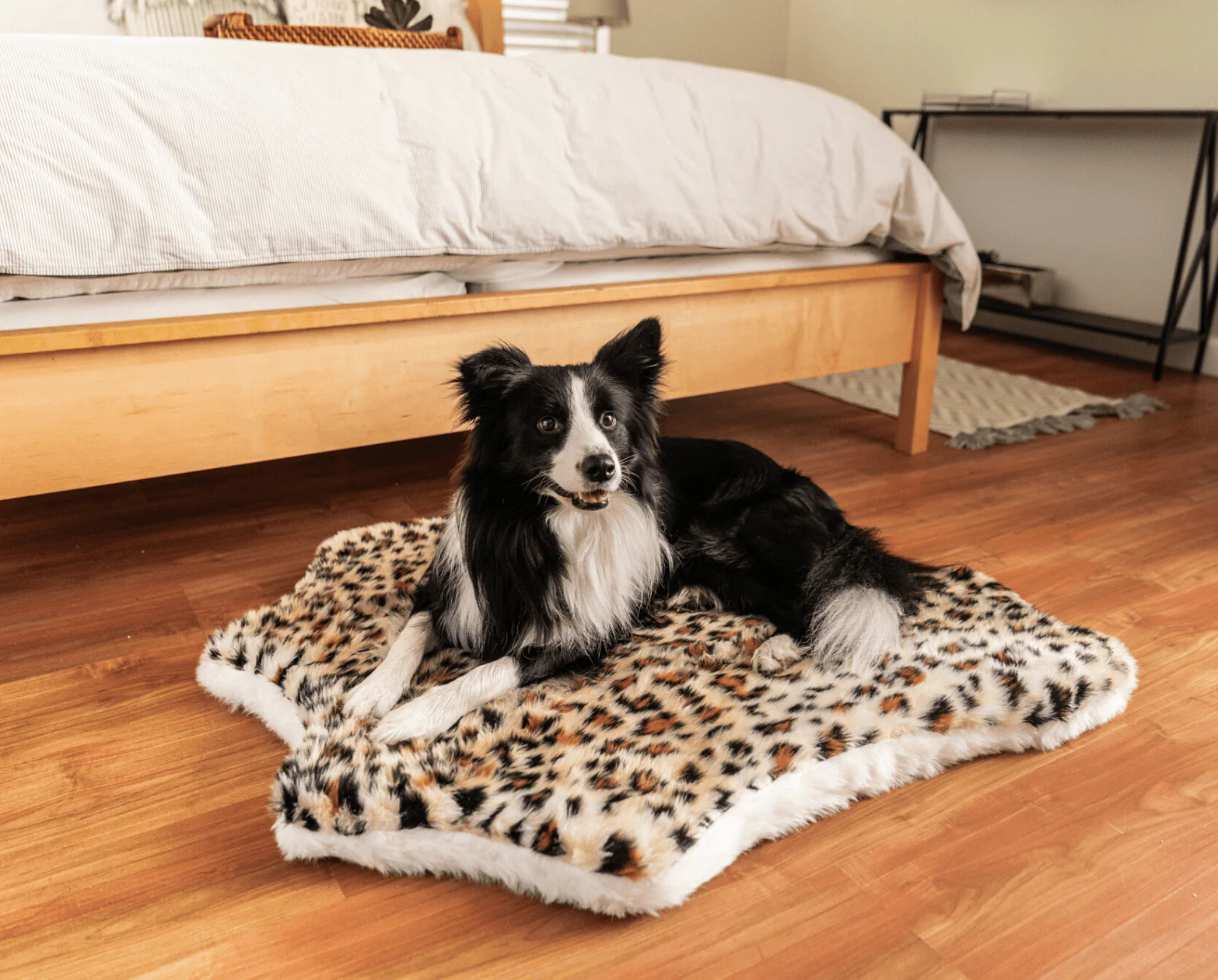 PupRug™ Animal Print Memory Foam Dog Bed - Cheetah Faux Print - Image 2
