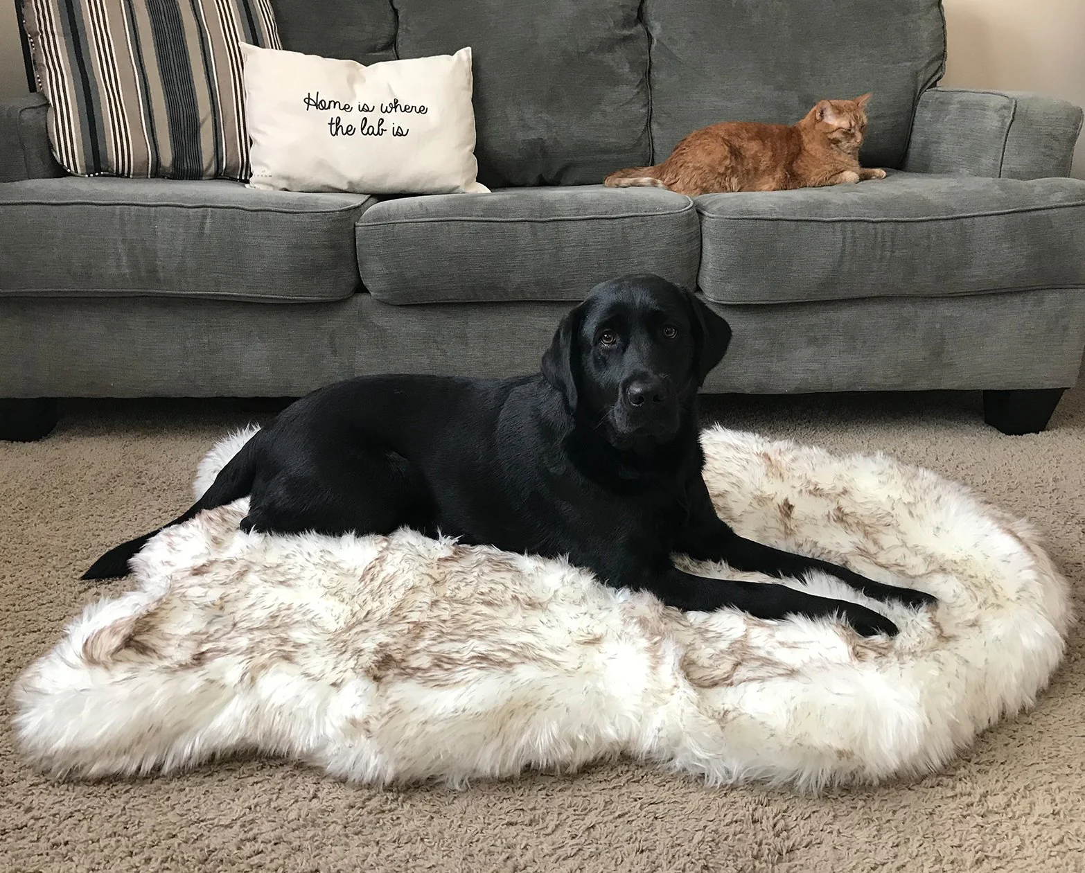 PupRug™ Faux Fur Orthopedic Dog Bed Cover - Curve White with Brown Accents (Bed Not Included) - Image 4