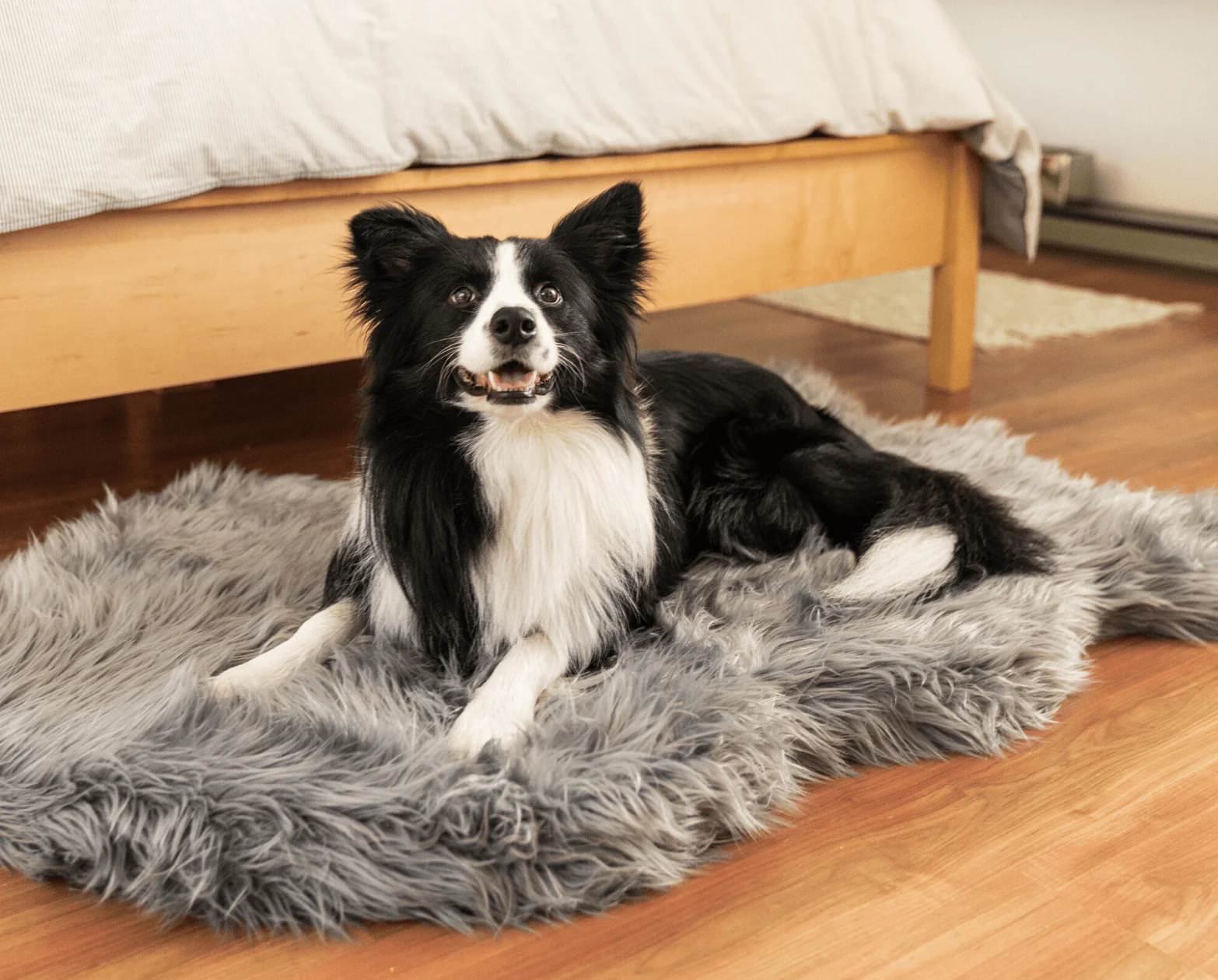 PupRug by Paw.com® Faux Fur Orthopedic Dog Bed - Curve Charcoal Grey - Image 10