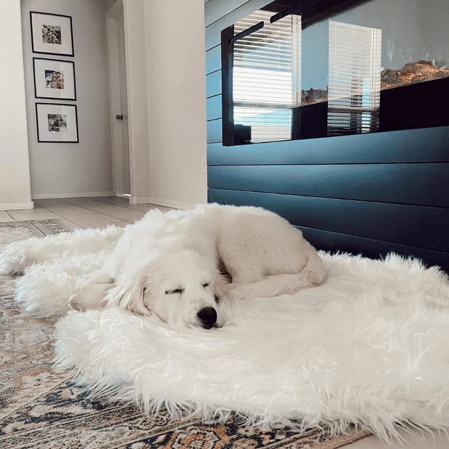 PupRug by Paw.com® Faux Fur Orthopedic Dog Bed - Curve Polar White - Image 8