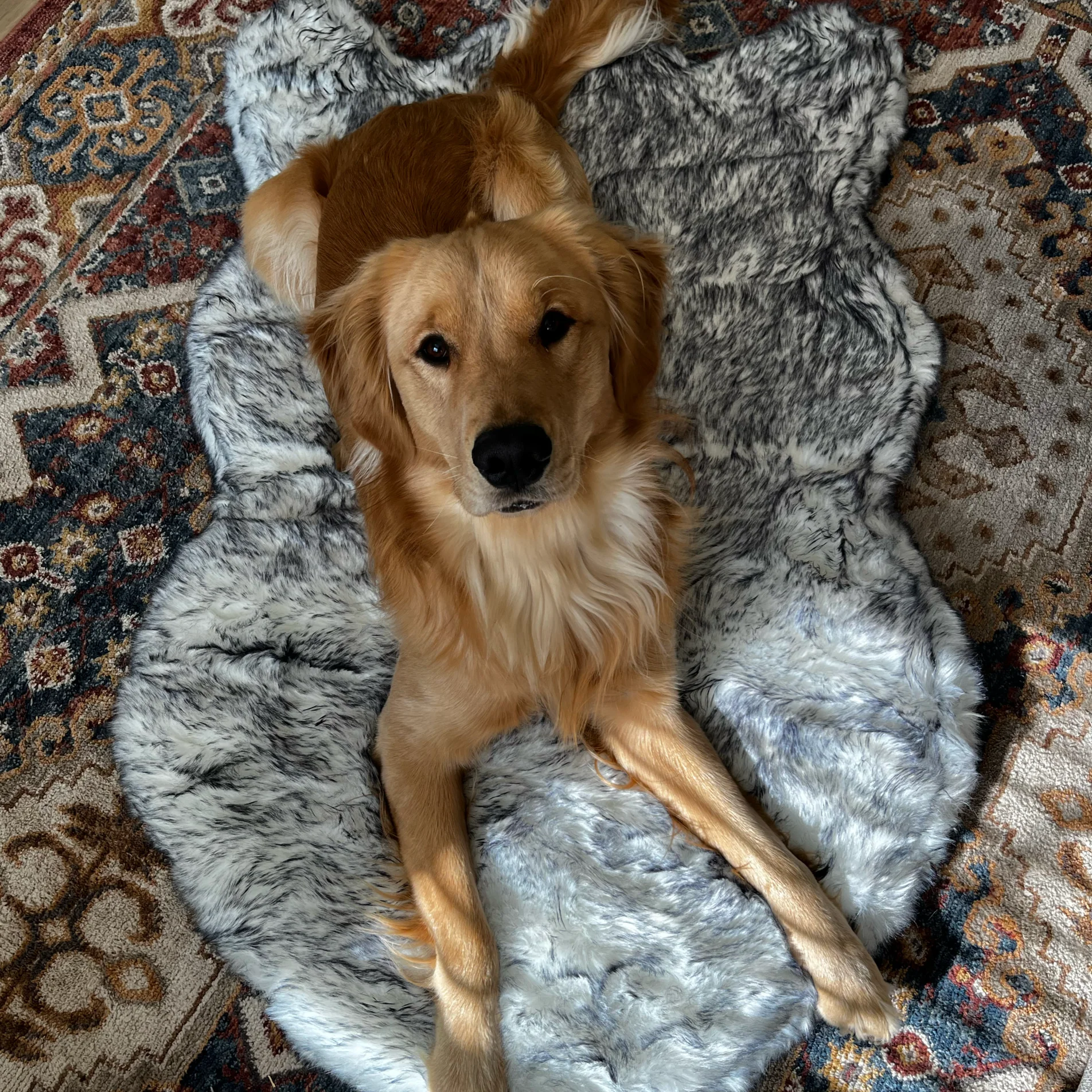 PupRug® Luxe Faux Fur Orthopedic Dog Bed - Ultra Plush Arctic Fox - Image 6