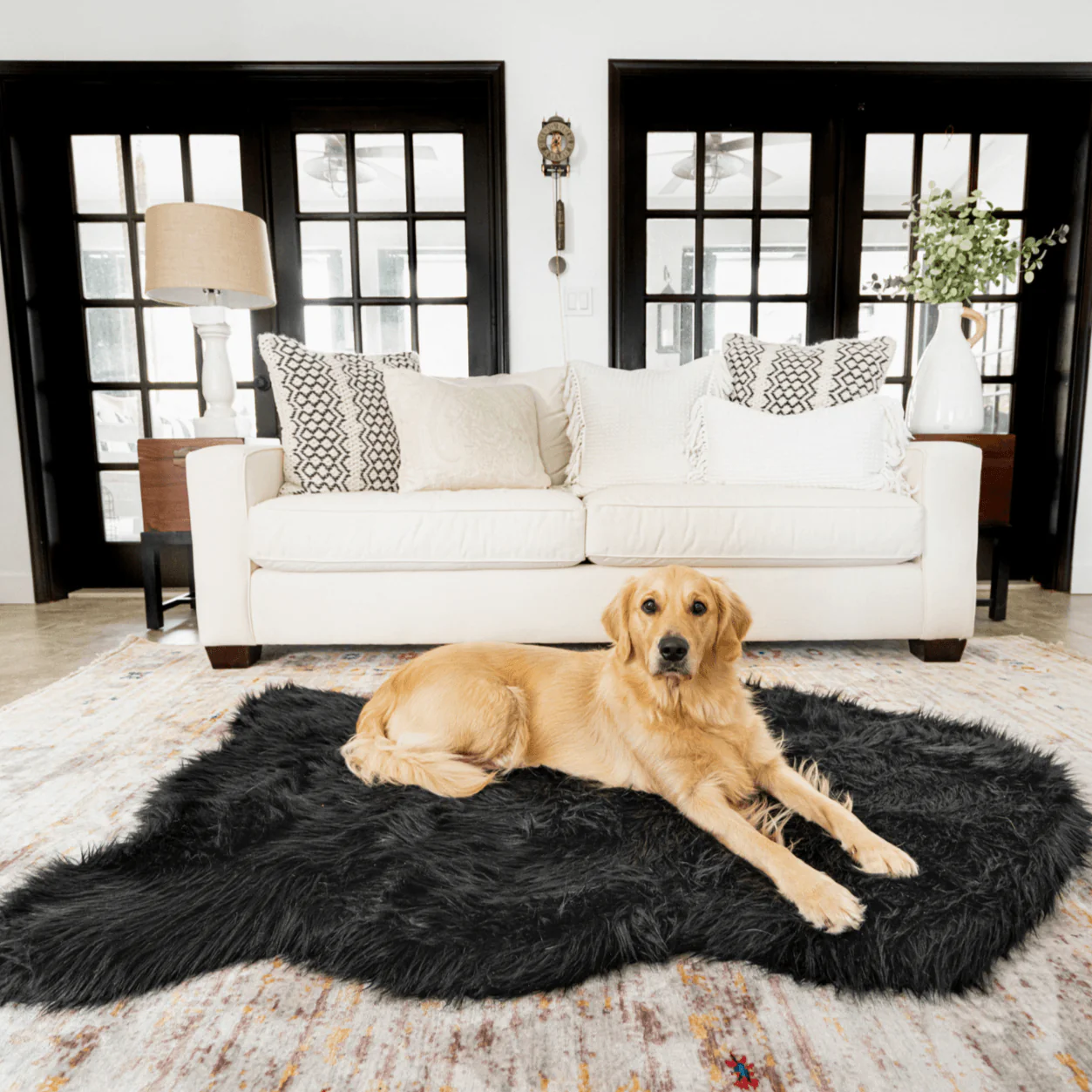 Best Dog Beds