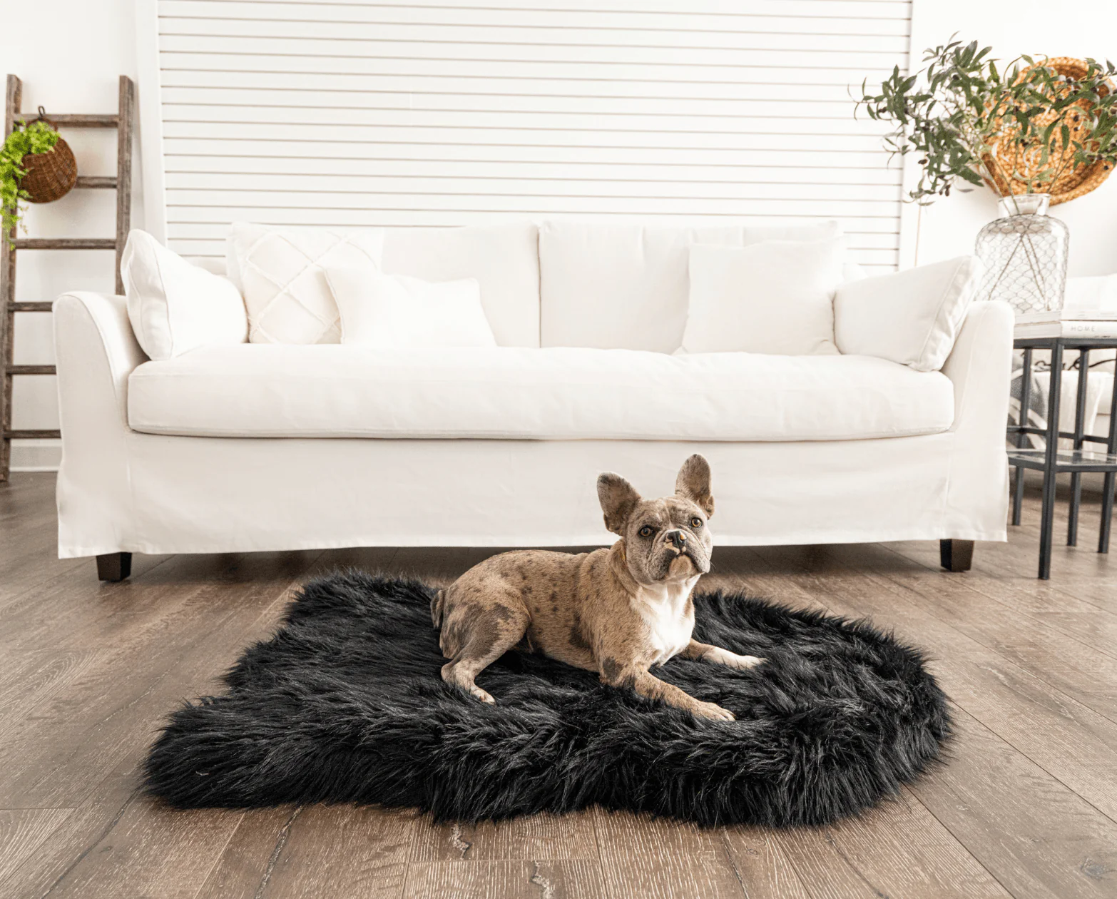 PupRug by Paw.com®  Faux Fur Orthopedic Dog Bed - Curve Midnight Black - Image 4