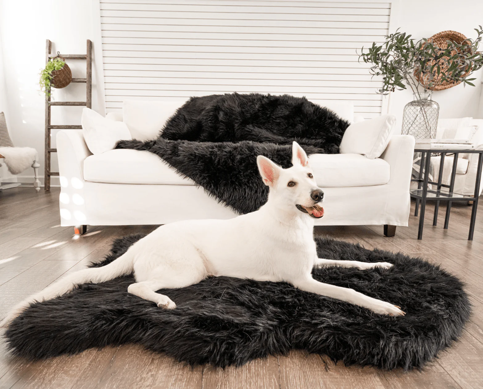 PupRug by Paw.com®  Faux Fur Orthopedic Dog Bed - Curve Midnight Black - Image 9