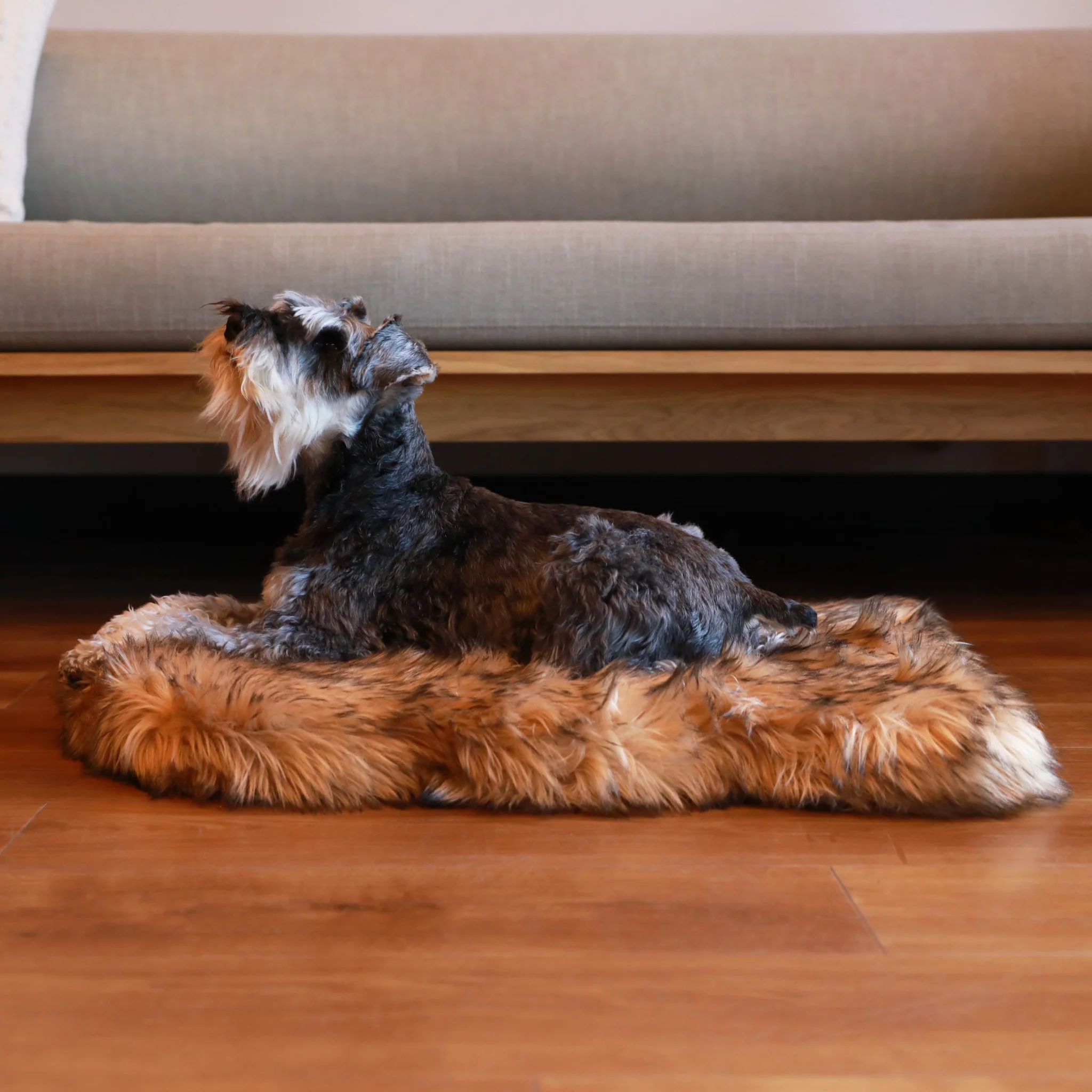 PupRug by Paw.com® Faux Fur Orthopedic Dog Bed - Curve Sable Tan - Image 9