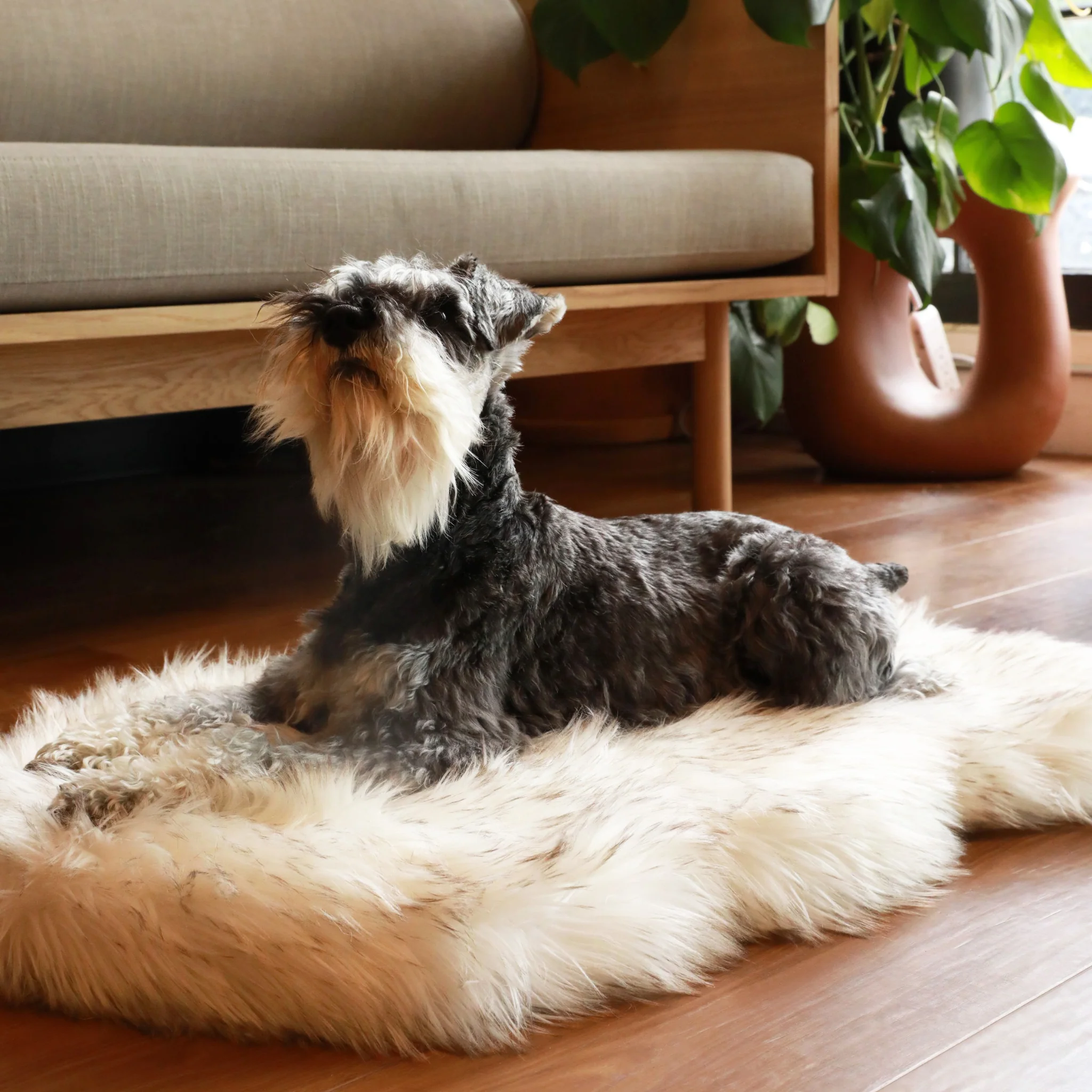 PupRug by Paw.com® Faux Fur Orthopedic Dog Bed - Curve White with Brown Accents - Image 8