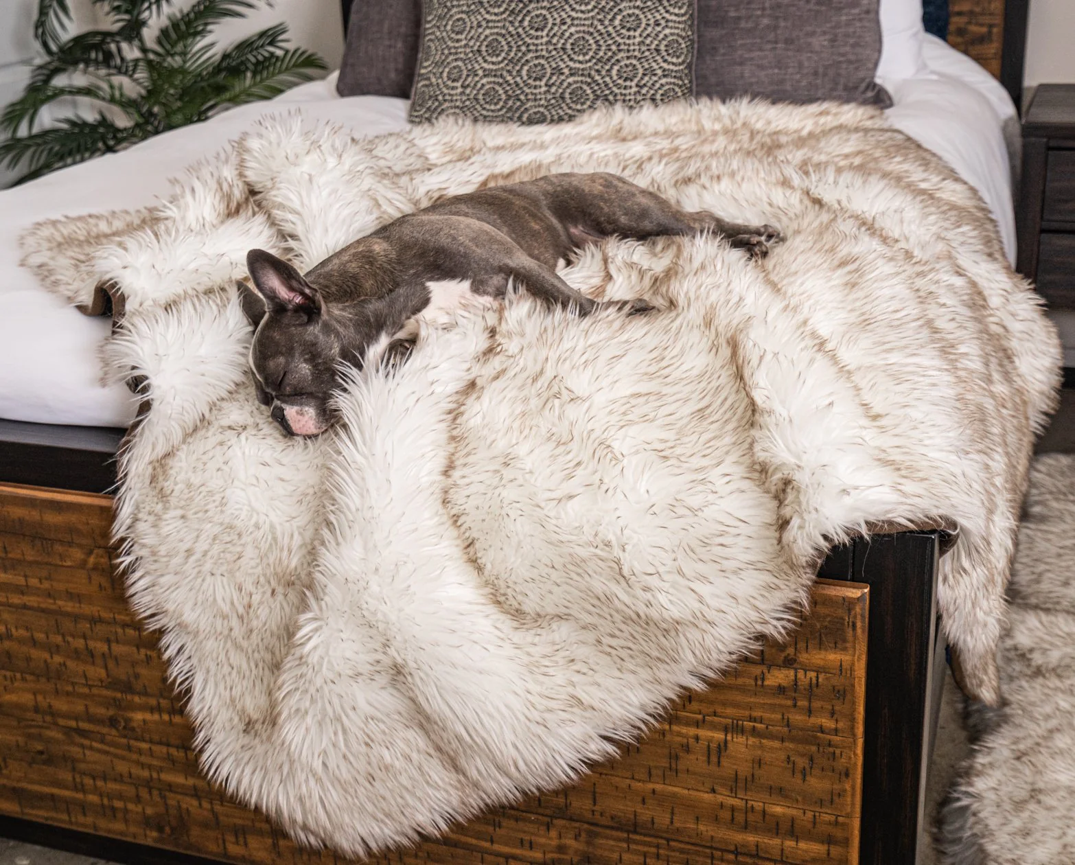 PupRug® Orthopedic Bed + Matching Waterproof Blanket Bundle - White with Brown Accents - Image 10