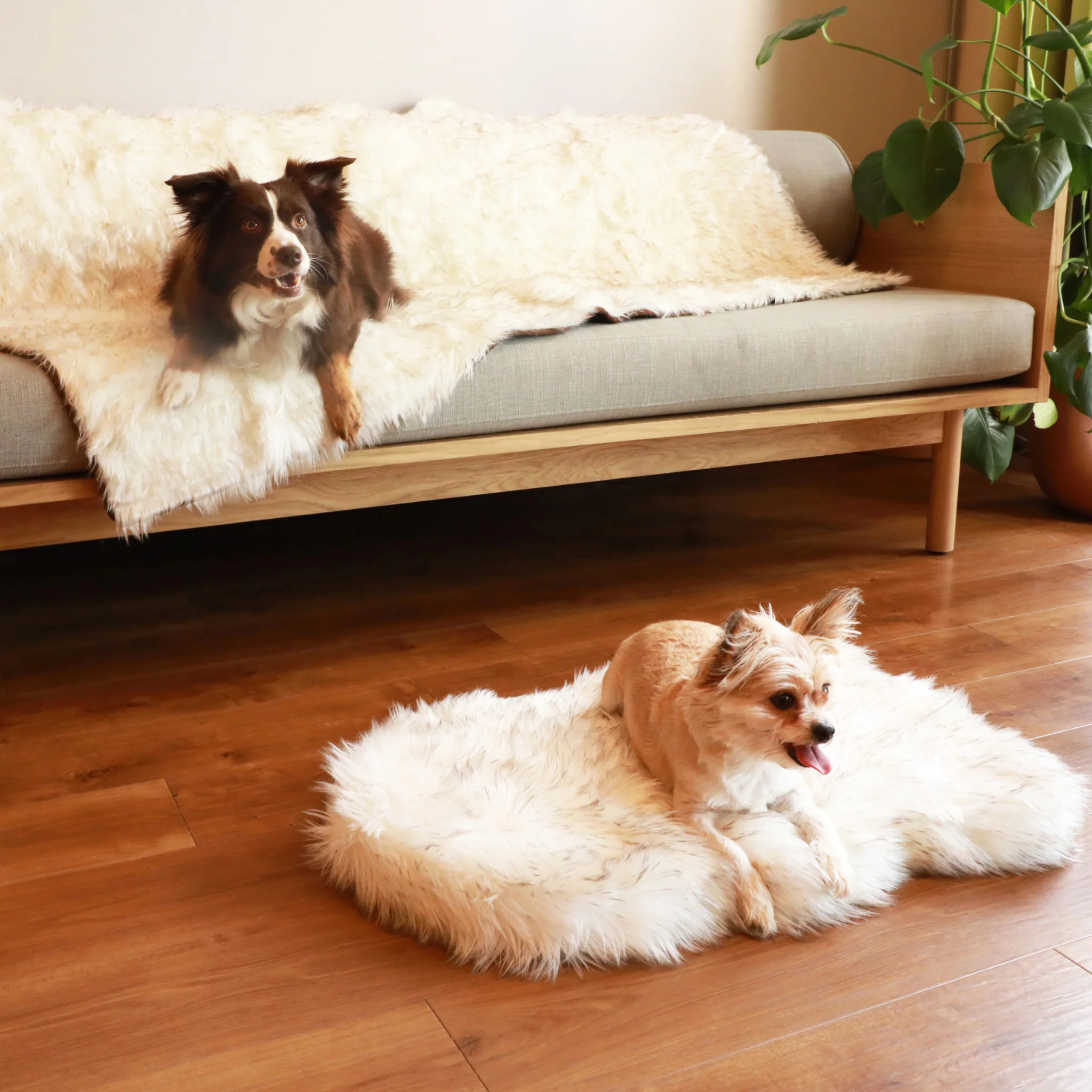 PupRug® Orthopedic Bed + Matching Waterproof Blanket Bundle - White with Brown Accents - Image 11