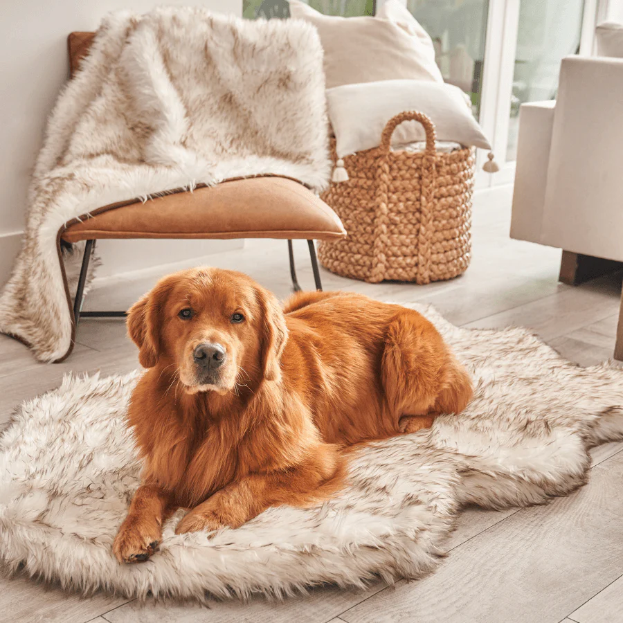 PupRug® Orthopedic Bed + Matching Waterproof Blanket Bundle - White with Brown Accents - Image 5