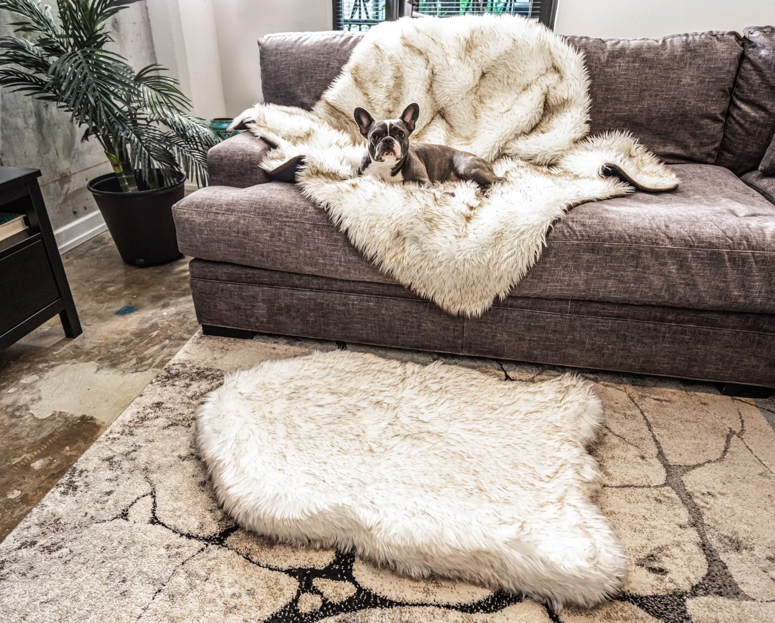 PupRug® Orthopedic Bed + Matching Waterproof Blanket Bundle - White with Brown Accents - Image 6