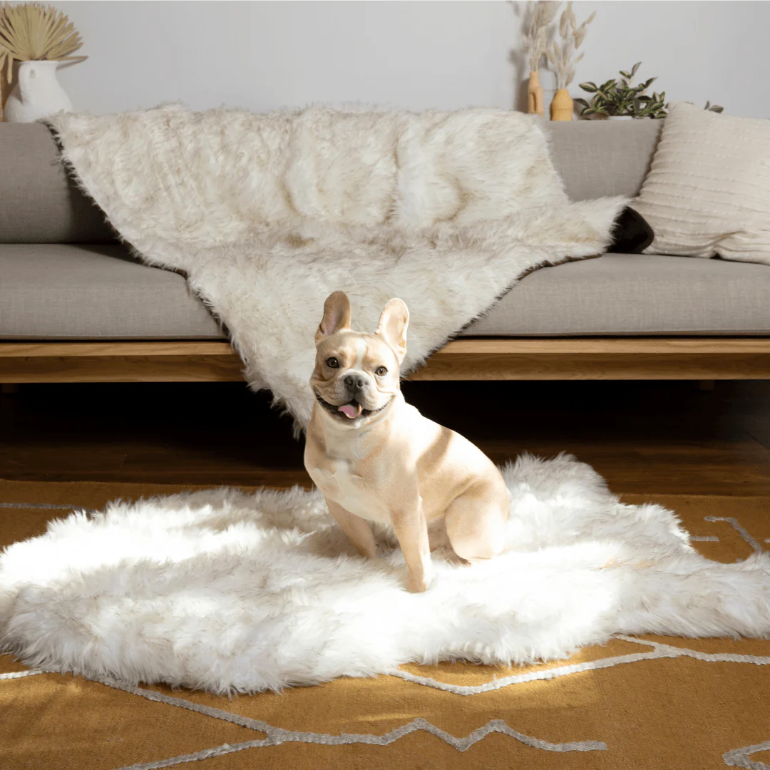 PupRug® Orthopedic Bed + Matching Waterproof Blanket Bundle - White with Brown Accents - Image 7
