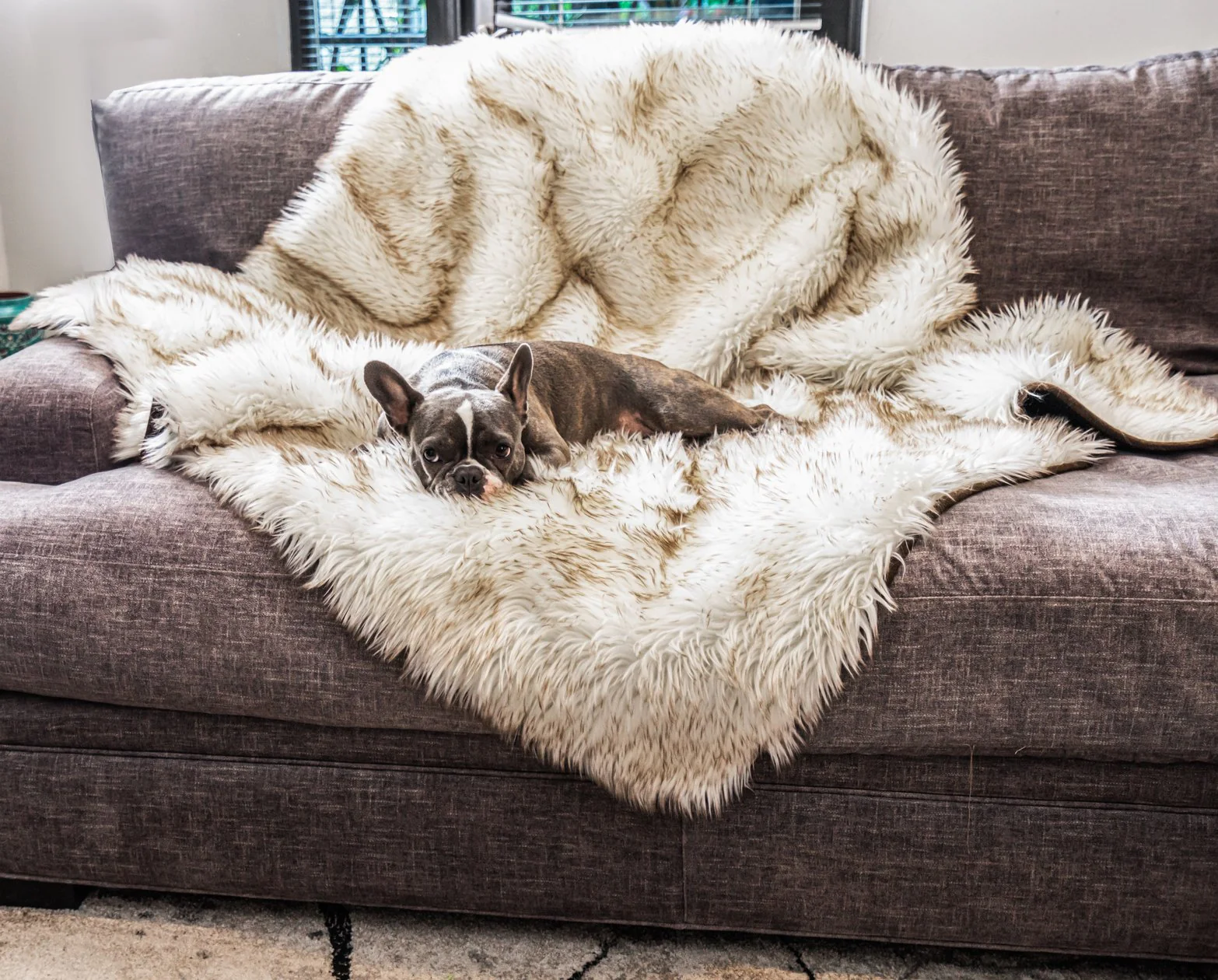 PupRug® Orthopedic Bed + Matching Waterproof Blanket Bundle - White with Brown Accents - Image 8
