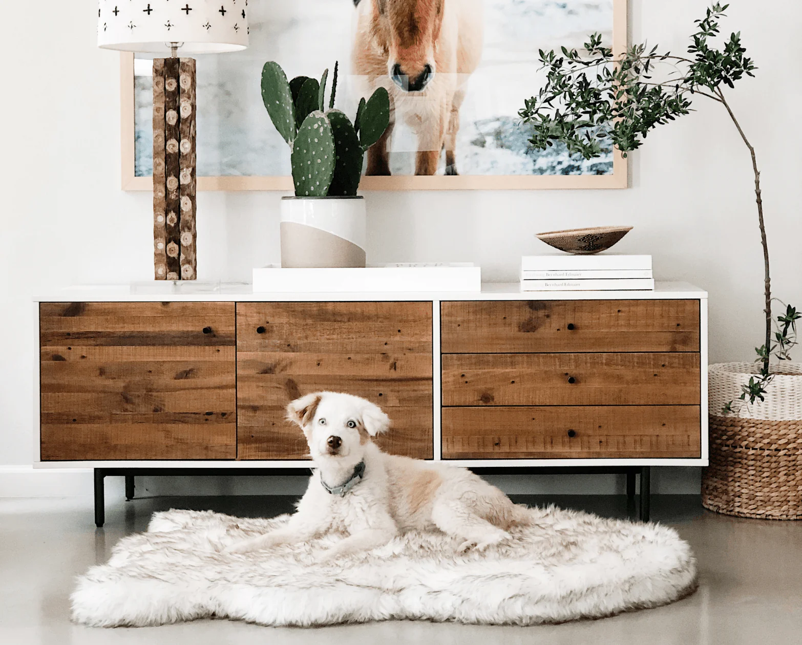 PupRug® Orthopedic Bed + Matching Waterproof Blanket Bundle - White with Brown Accents - Image 9