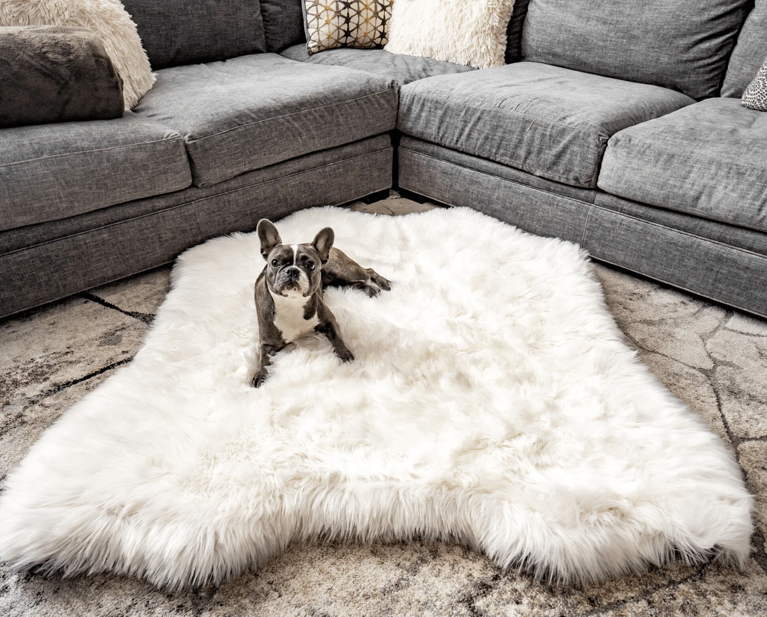 PupRug™ Animal Print Memory Foam Dog Bed Cover - Polar Bear Faux Hide (Bed Not Included) - Image 4