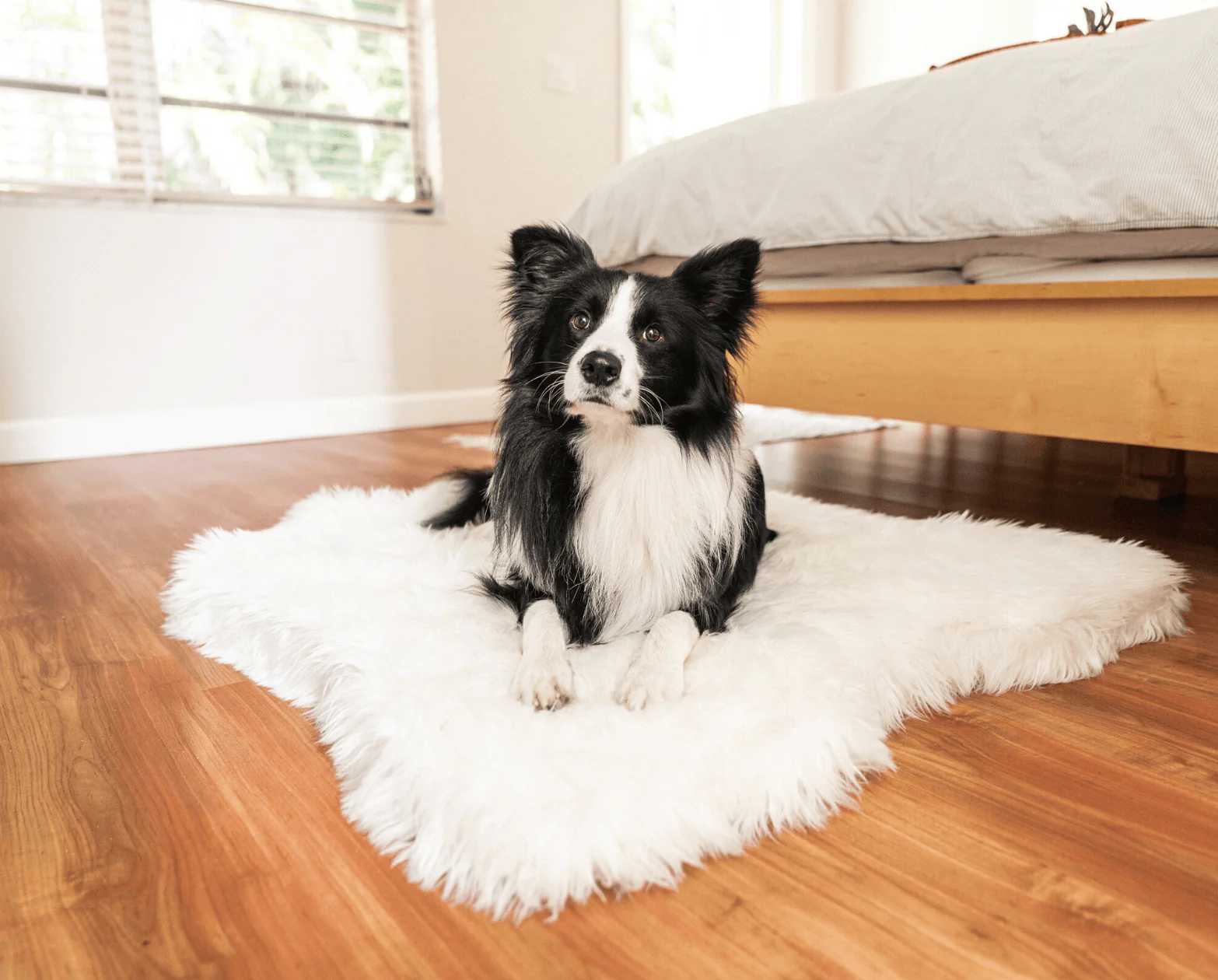 PupRug™ Animal Print Memory Foam Dog Bed Cover - Polar Bear Faux Hide (Bed Not Included) - Image 5