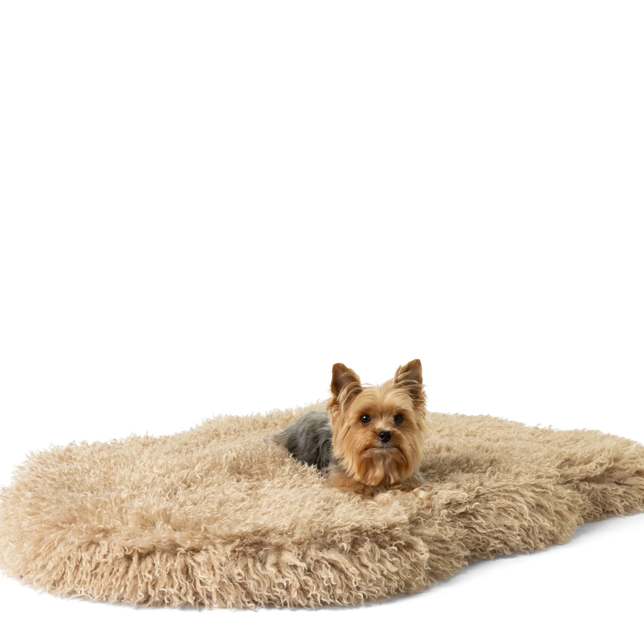 PupRug® Luxe Faux Fur Orthopedic Dog Bed Cover - Plush Sheep Tan (Bed Not Included) - Image 3