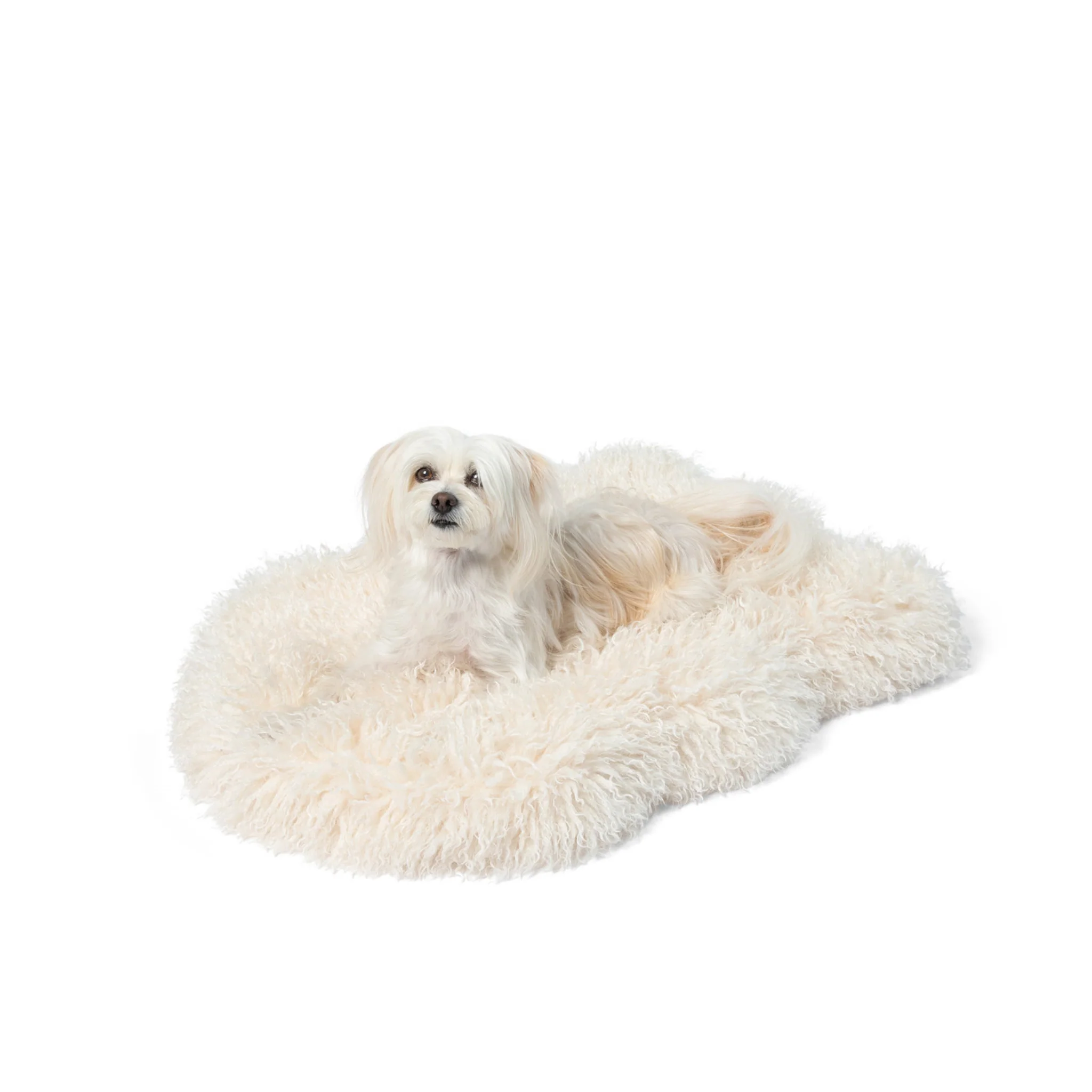 PupRug® Luxe Faux Fur Orthopedic Dog Bed - Plush Sheep Ivory - Image 10