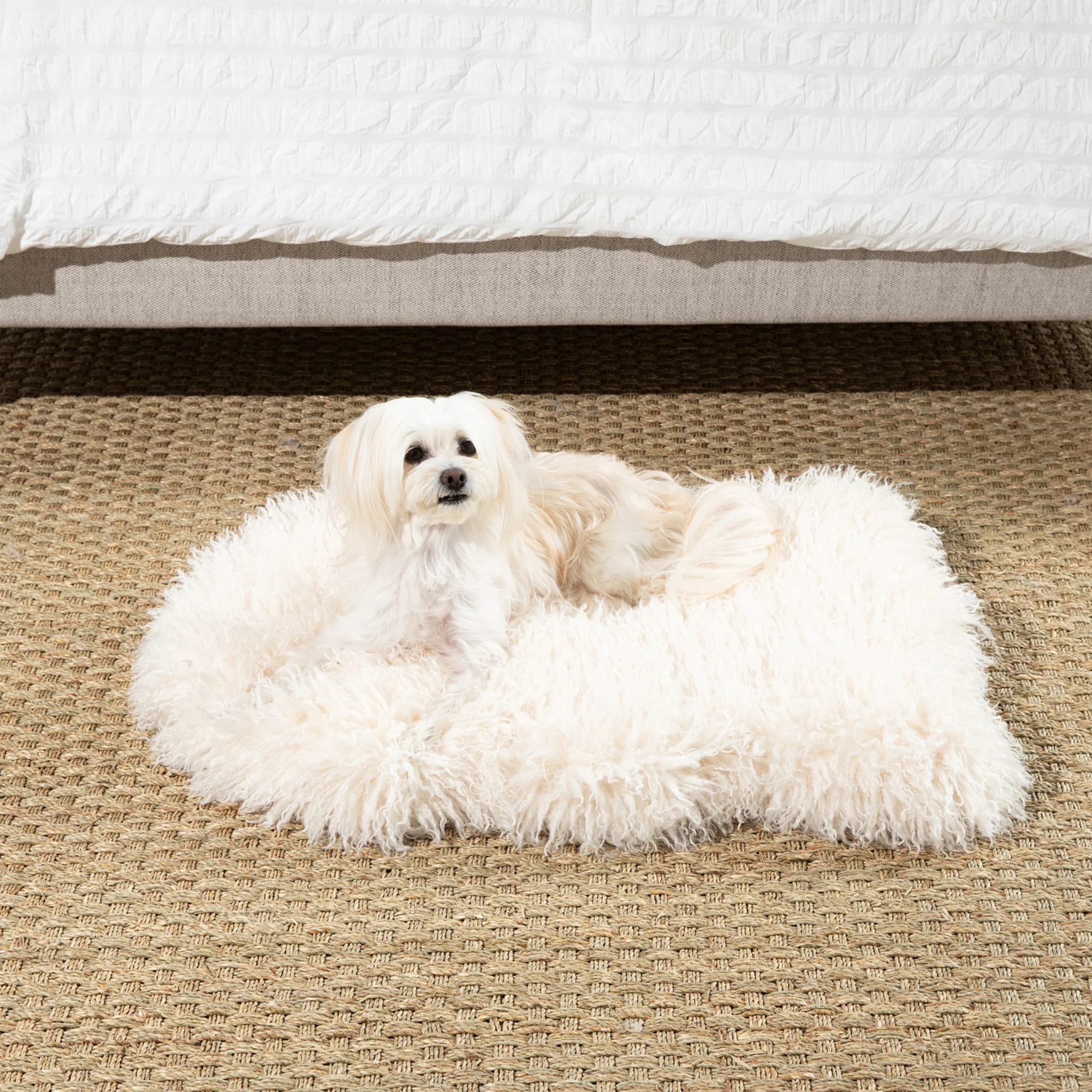 PupRug® Luxe Faux Fur Orthopedic Dog Bed - Plush Sheep Ivory - Image 13