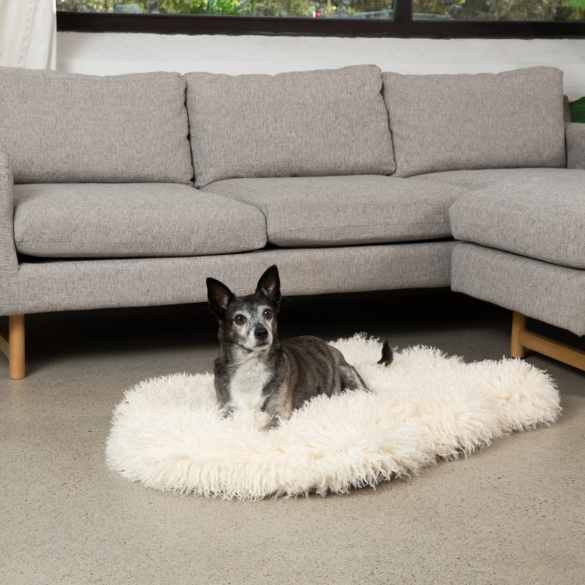 PupRug® Luxe Faux Fur Orthopedic Dog Bed - Plush Sheep Ivory - Image 6