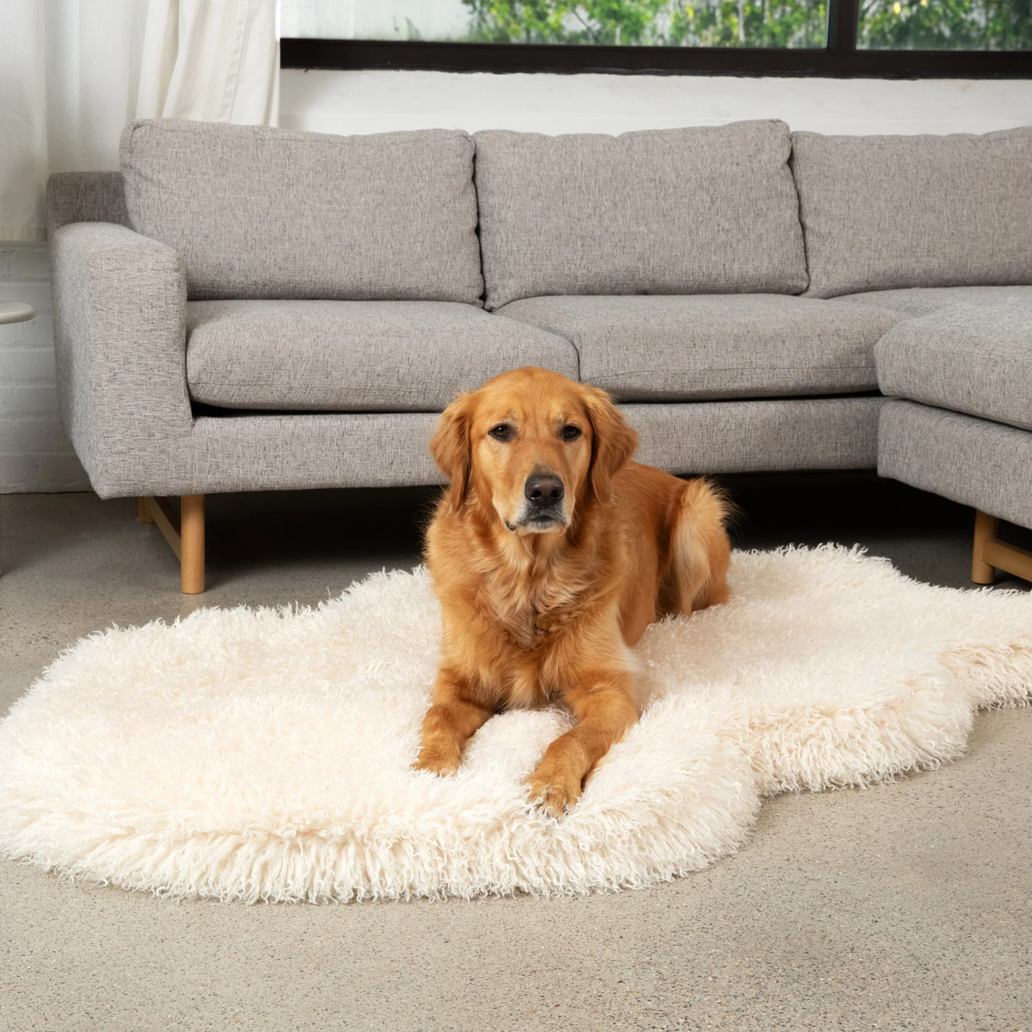 PupRug® Luxe Faux Fur Orthopedic Dog Bed - Plush Sheep Ivory - Image 7