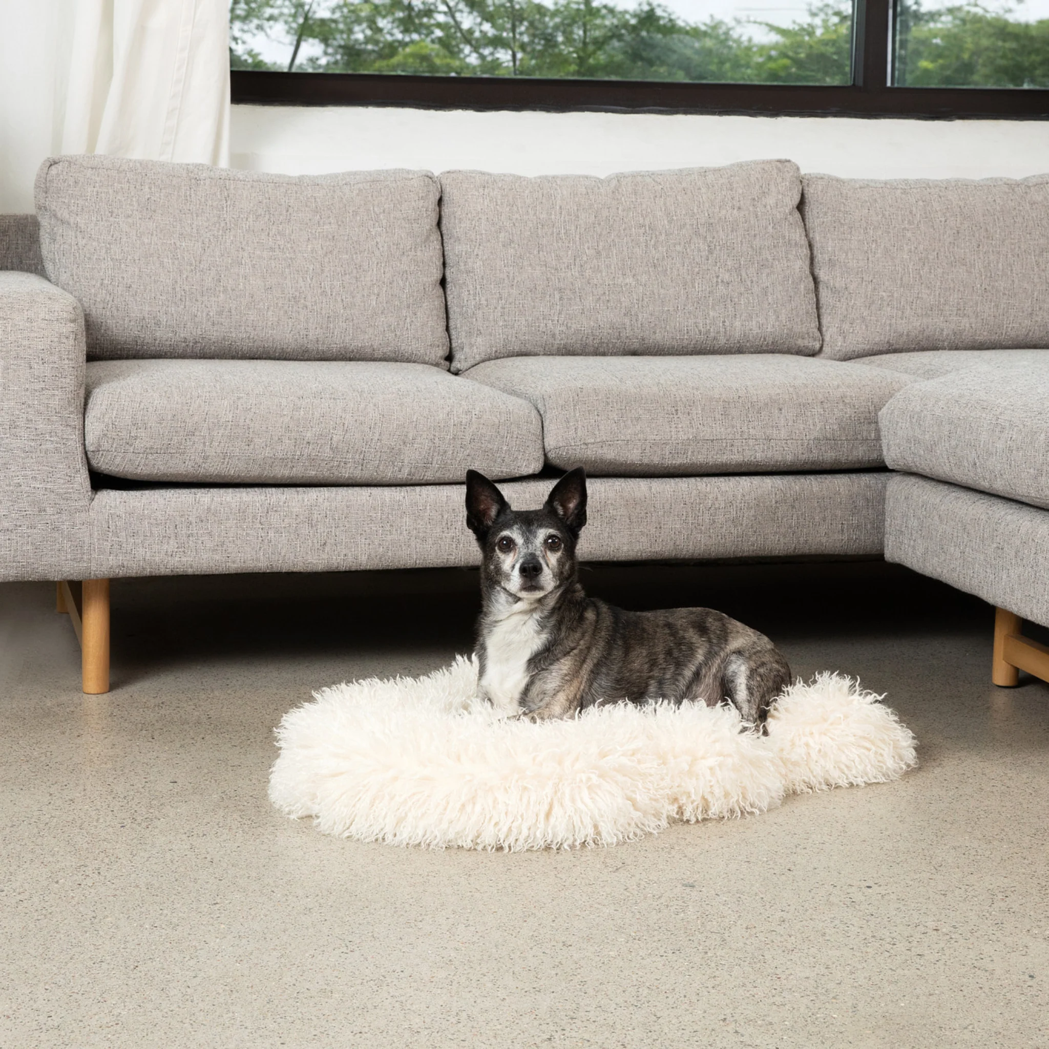 PupRug® Luxe Faux Fur Orthopedic Dog Bed - Plush Sheep Ivory - Image 8