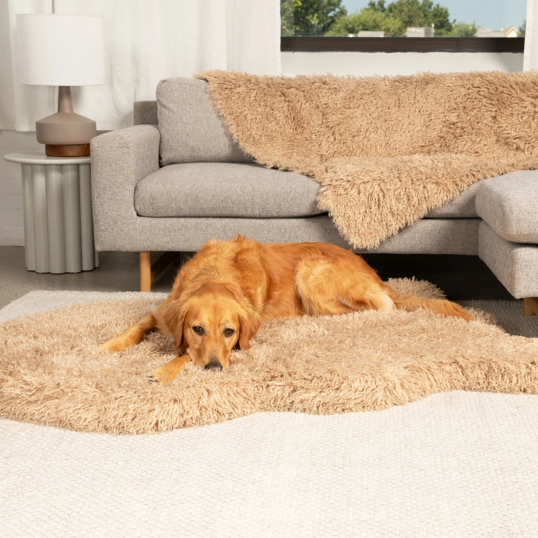 PupRug® Luxe Faux Fur Orthopedic Dog Bed -  Plush Sheep Tan - Image 13