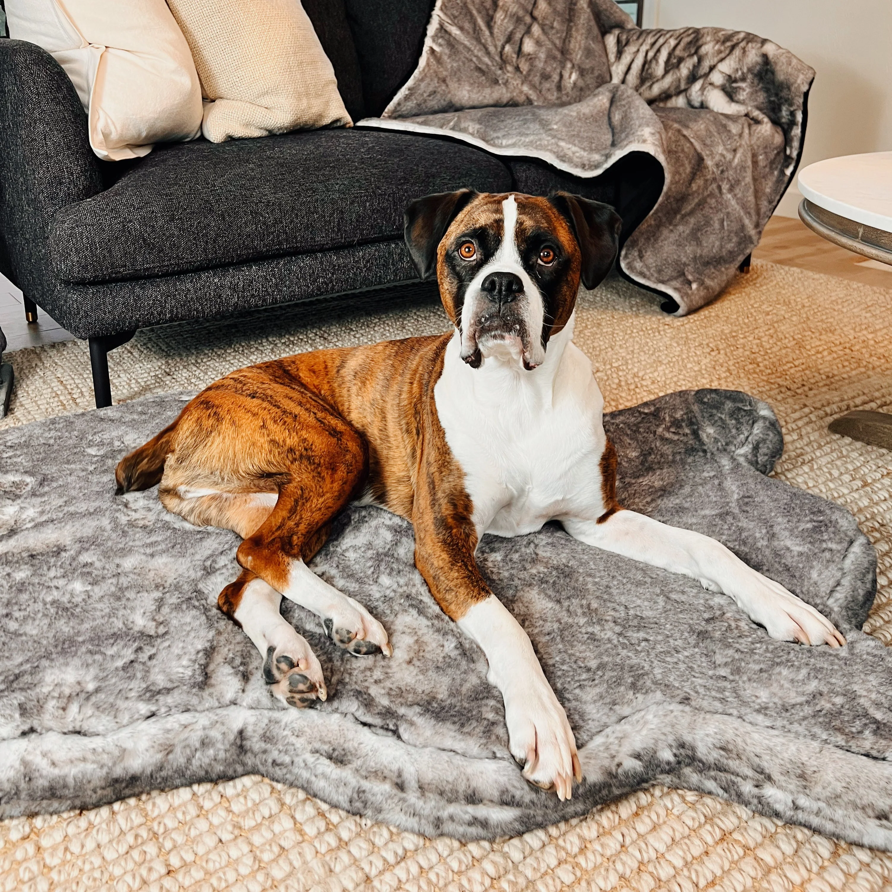PupRug® Luxe Faux Fur Orthopedic Dog Bed - Ultra Soft Chinchilla - Image 6