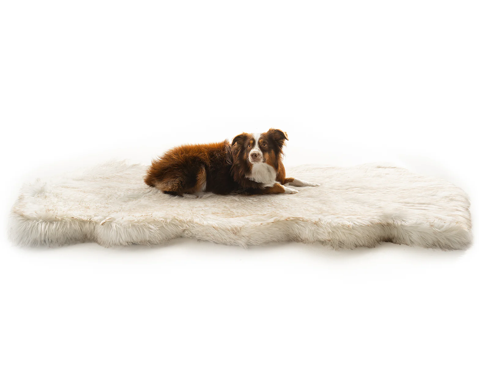 PupRug® Runner Faux Fur Memory Foam Dog Bed Cover - Curve White with Brown Accents (Bed Not Included) - Image 4