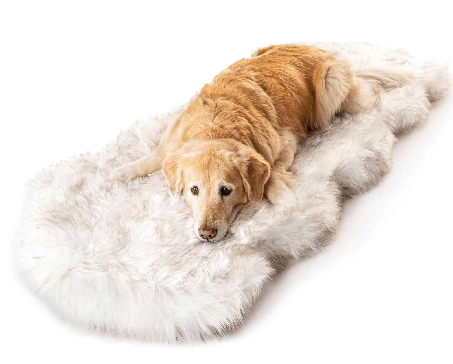 PupRug® Runner Faux Fur Memory Foam Dog Bed - Curve White with Brown Accents - Image 3