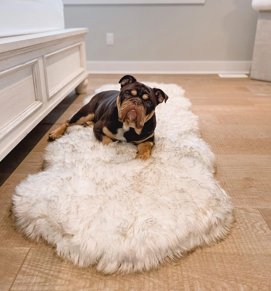 PupRug® Runner Faux Fur Memory Foam Dog Bed - Curve White with Brown Accents - Image 6