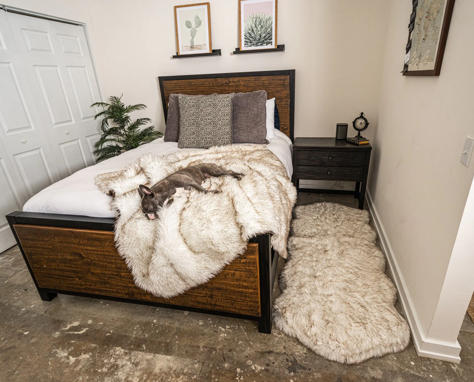 PupRug® Orthopedic Runner Bed + Matching Waterproof Blanket Bundle - White with Brown Accents - Image 6