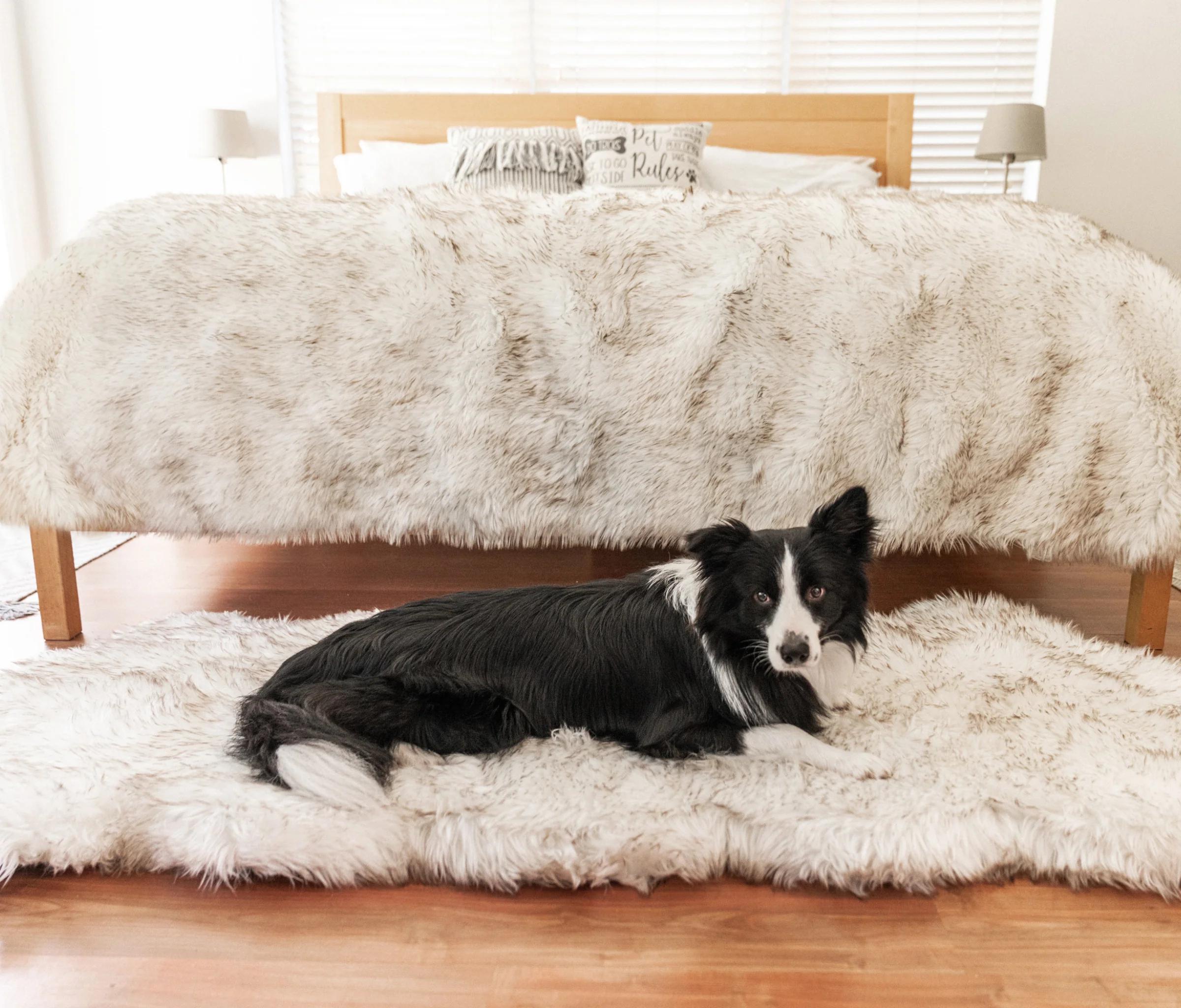 PupRug® Orthopedic Runner Bed + Matching Waterproof Blanket Bundle - White with Brown Accents - Image 7