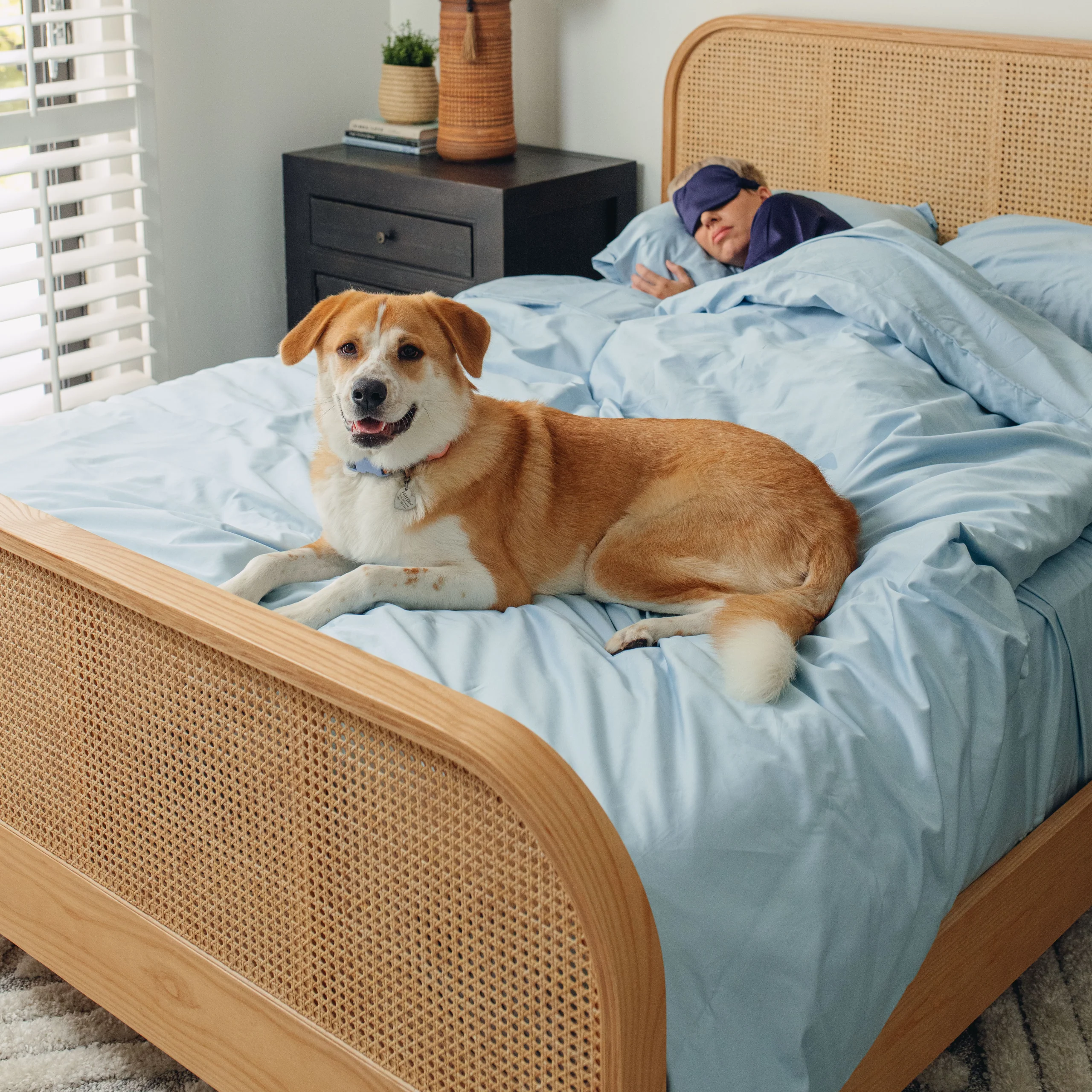 PupSheets™ Hair Resistant, Antimicrobial & Cooling Duvet Cover and Sham Set - Sky Blue - Image 8